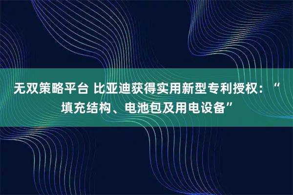 无双策略平台 比亚迪获得实用新型专利授权：“填充结构、电池包及用电设备”